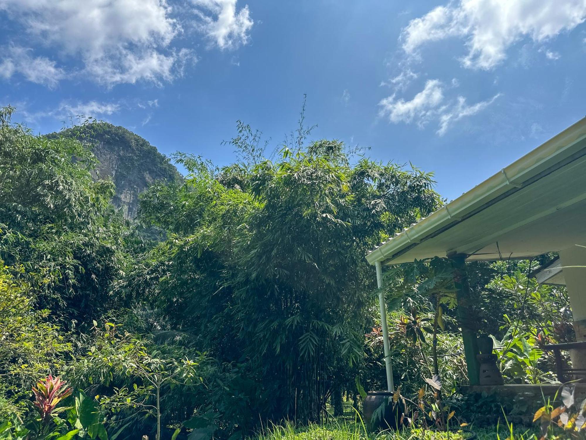 Baan Suanthip Homestay - Aoluek Natural Retreat Ao Luk Exteriör bild